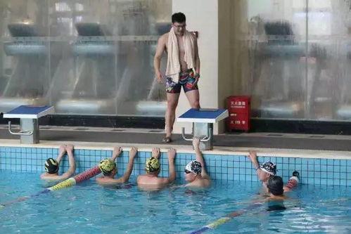 成人游泳野游视频在线观看,揭秘成人游泳野游视频中的技巧与魅力